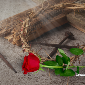 3003 Every Rose Has Its Thorn
